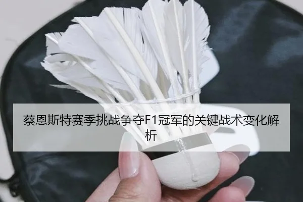 蔡恩斯特赛季挑战争夺F1冠军的关键战术变化解析