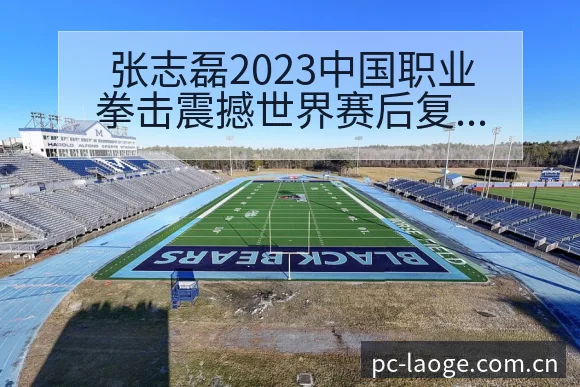 张志磊2023中国职业拳击震撼世界赛后复盘与关键变化深度 - 老哥网