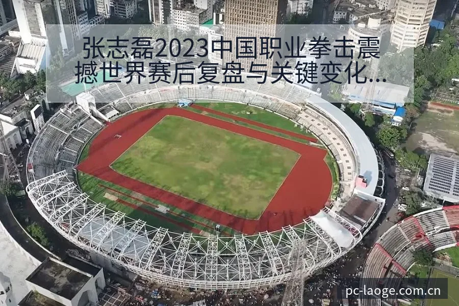 张志磊2023中国职业拳击震撼世界赛后复盘与关键变化深度 - 老哥网